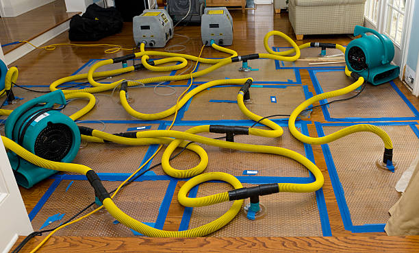 Professional Basement Flood Cleanup technician working in Bynum, TX